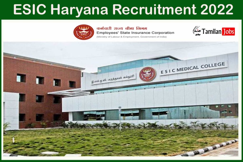 Esic Haryana Recruitment Out Direct Interview For Senior