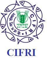 CIFRI Recruitment 2019 – Apply Online 02 Young Professional Posts
