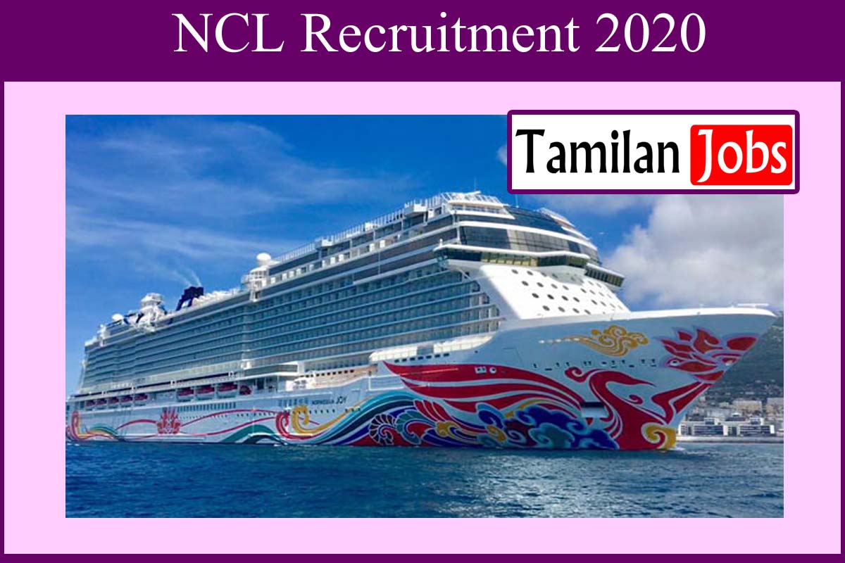 ncl cruise recruitment