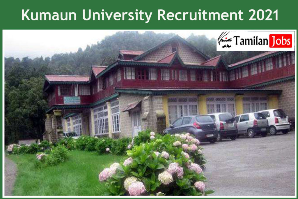 Kumaun University Recruitment 2021 Out – Apply For 74 Assistant ...