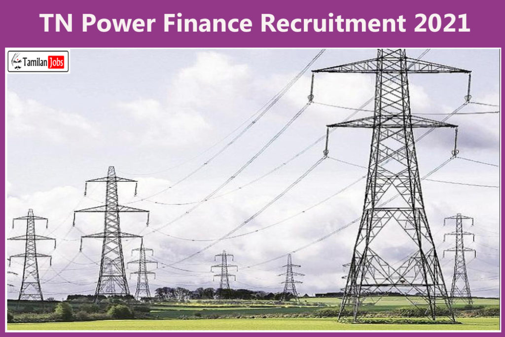 tn-power-finance-recruitment-2021-out-apply-online-various-chief-risk