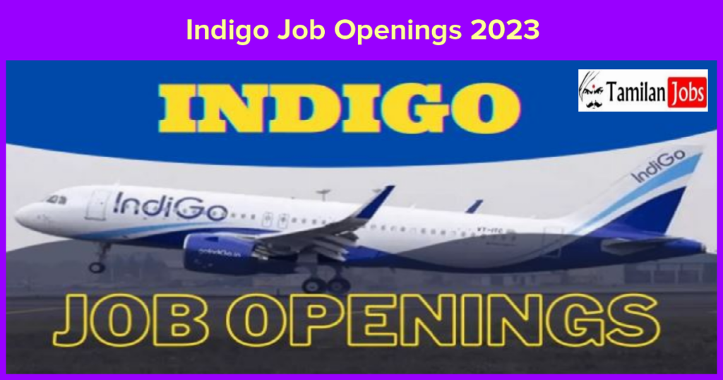 indigo-job-openings-2023-announced-apply-now-for-cargo-operations-post