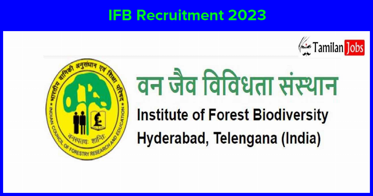 IFB Recruitment 2023