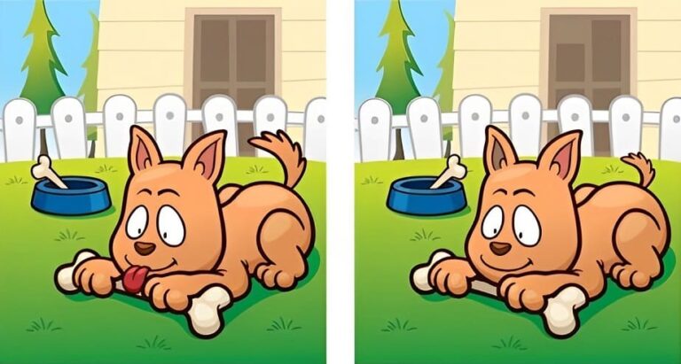 Brain Teaser: Find The Differences Between The Dog Pictures Under 20 secs