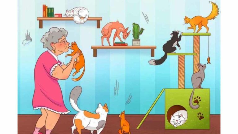 Brain Teaser: There is a Fake Cat in Grandma’s House Find It Under 9 Secs
