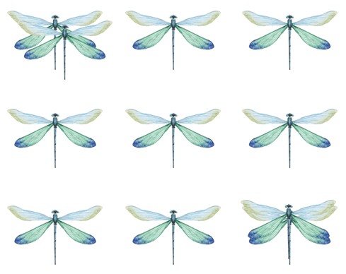 Brain Teaser: How Many Dragonfly In The Picture? Only 1% Genius Can Solve