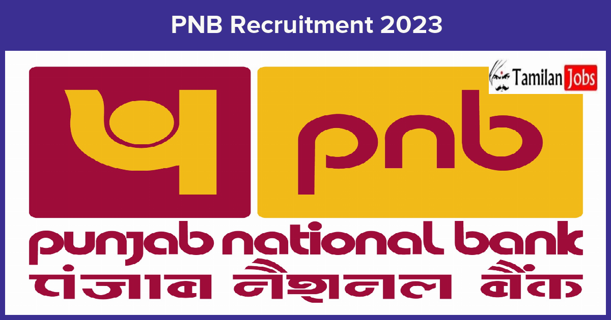 Pnb Recruitment 2023 - Manager &Amp; Officer Jobs, 240 Vacancies!