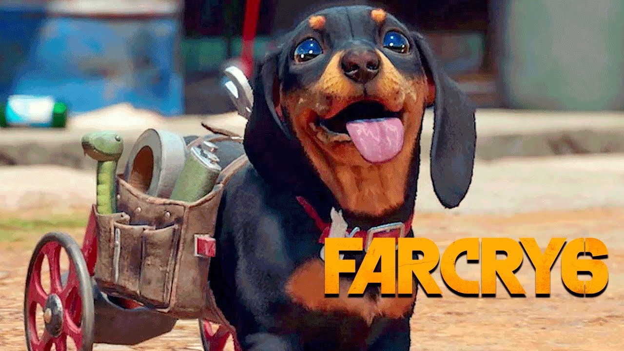 Far Cry 6 Trapper Error