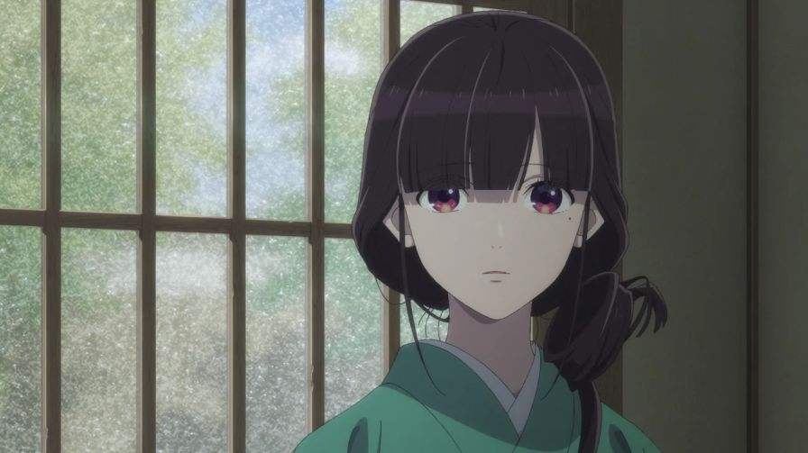 Watashi no Shiawase na Kekkon Dublado - Episódio 8 - Animes Online