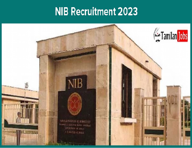 NIB Recruitment 2023