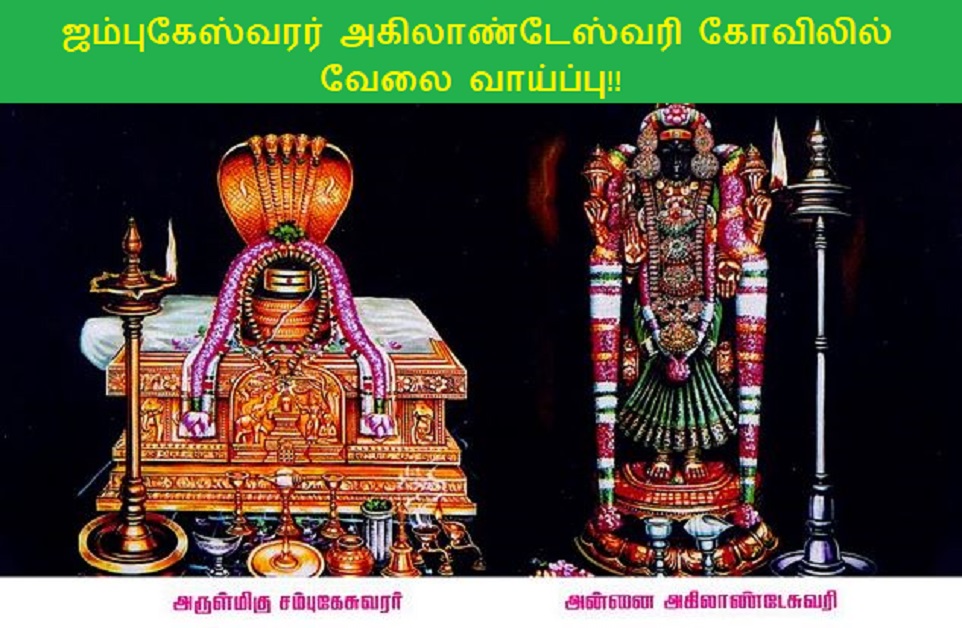 Jambukeswarar Akilandeswari Temple Job Recruitment 2024