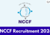 NCCF Recruitment 2024